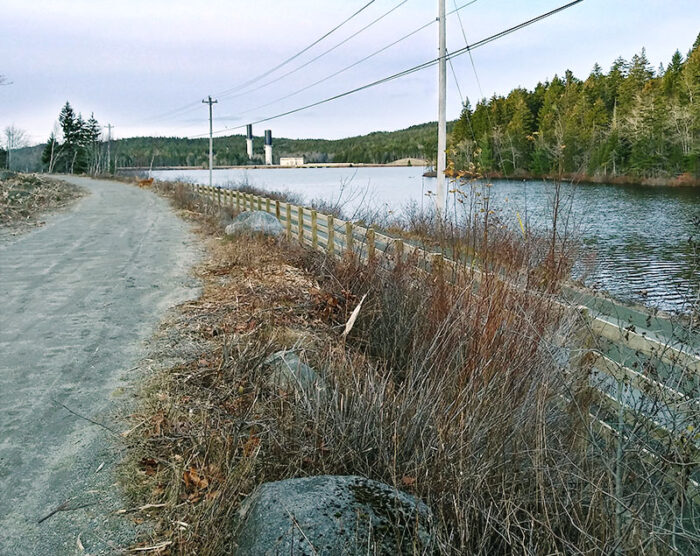 Mill Lake New Trail Section